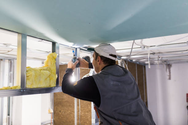 Best Insulation for Specific Applications in Baker, LA