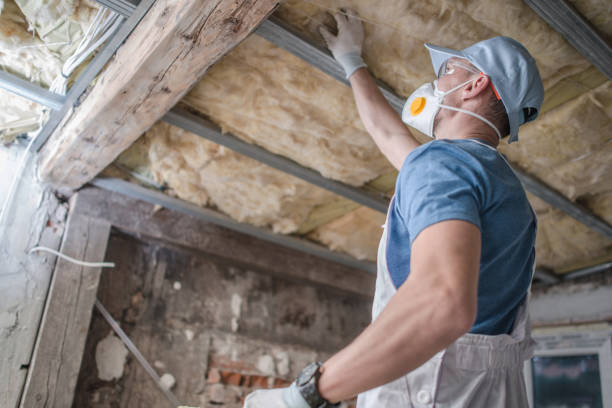 Best Insulation Installation Services in Baker, LA